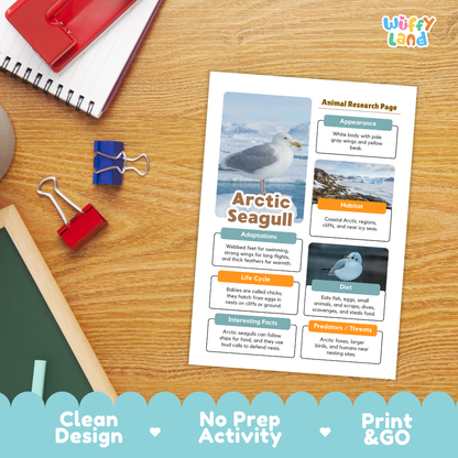 An educational printout titled 'Arctic Seagull Animal Research Page' displayed on a wooden desk with school supplies. The printout features a photograph of an Arctic seagull and labeled information boxes about appearance, habitat, adaptations, life cycle, diet, and interesting facts.