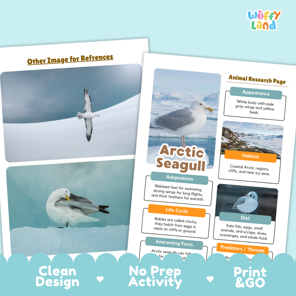 Two printed educational poster sheets about Arctic seagulls are shown on a light blue background with decorative text banners along the bottom. The sheets include labeled sections such as 'Other Image for References,' 'Animal Research Page,' 'Arctic Seagull,' 'Appearance,' 'Habitat,' 'Adaptations,' 'Life Cycle,' 'Diet,' and 'Predators / Prey.