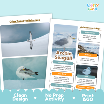 Two printed educational poster sheets about Arctic seagulls are shown on a light blue background with decorative text banners along the bottom. The sheets include labeled sections such as 'Other Image for References,' 'Animal Research Page,' 'Arctic Seagull,' 'Appearance,' 'Habitat,' 'Adaptations,' 'Life Cycle,' 'Diet,' and 'Predators / Prey.
