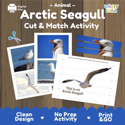 Arctic Seagull Cut and Match Activity Worksheets