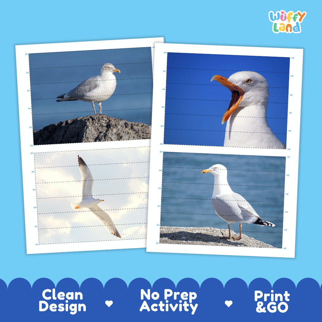 Arctic Seagull Cut and Match Activity Worksheets