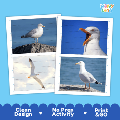Arctic Seagull Cut and Match Activity Worksheets