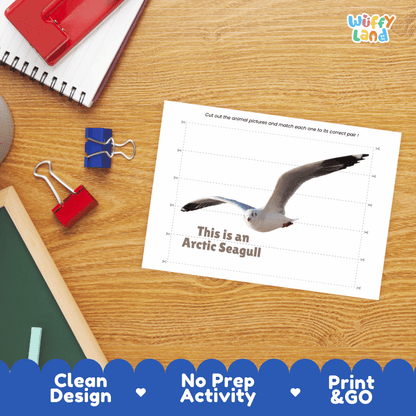 Arctic Seagull Cut and Match Activity Worksheets