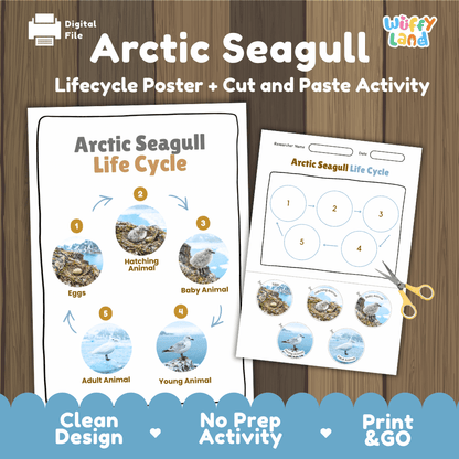 Arctic Seagull Life Cycle Poster and Cut and Paste Worksheet Activity