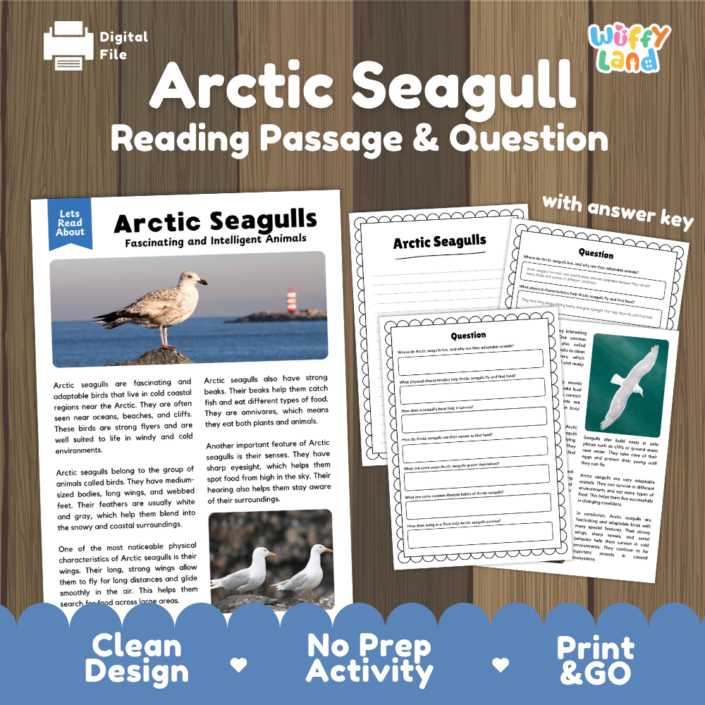 Digital educational activity sheet set titled 'Arctic Seagull Reading Passage & Question' on a wood-textured background. The image shows a sample reading passage page with an arctic seagull photo, worksheet pages with填空 and multiple-choice questions, and a blue banner at the bottom reading 'Clean Design', 'No Prep Activity', and 'Print & GO'.