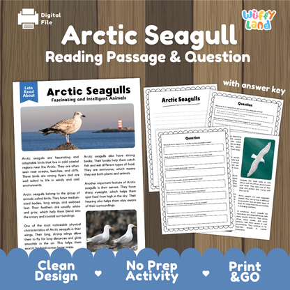 Digital educational activity sheet set titled 'Arctic Seagull Reading Passage & Question' on a wood-textured background. The image shows a sample reading passage page with an arctic seagull photo, worksheet pages with填空 and multiple-choice questions, and a blue banner at the bottom reading 'Clean Design', 'No Prep Activity', and 'Print & GO'.