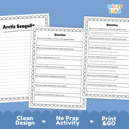 Arctic Seagulls Reading Passage and Questions Worksheets with Answer Key