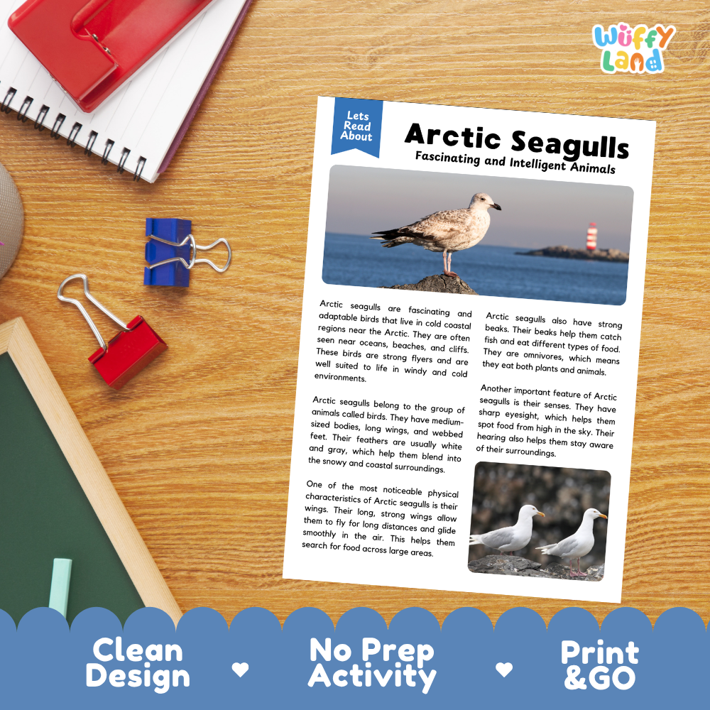 Arctic Seagulls Reading Passage and Questions Worksheets with Answer Key