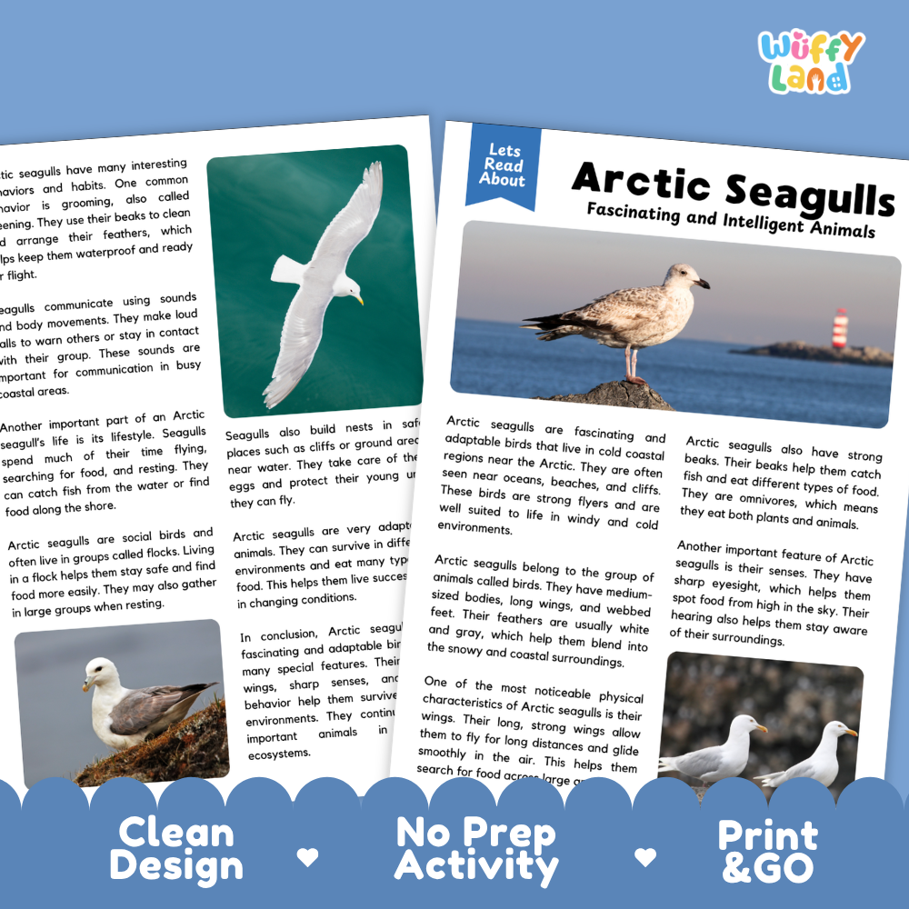 Arctic Seagulls Reading Passage and Questions Worksheets with Answer Key
