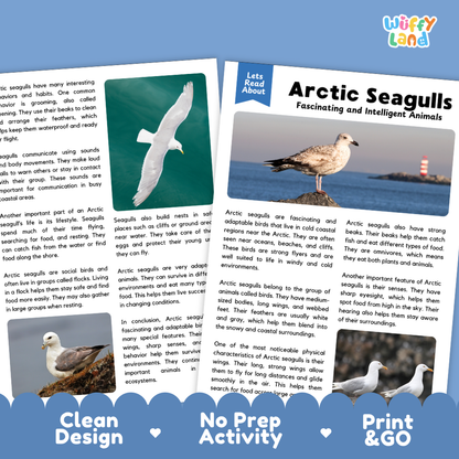 Arctic Seagulls Reading Passage and Questions Worksheets with Answer Key