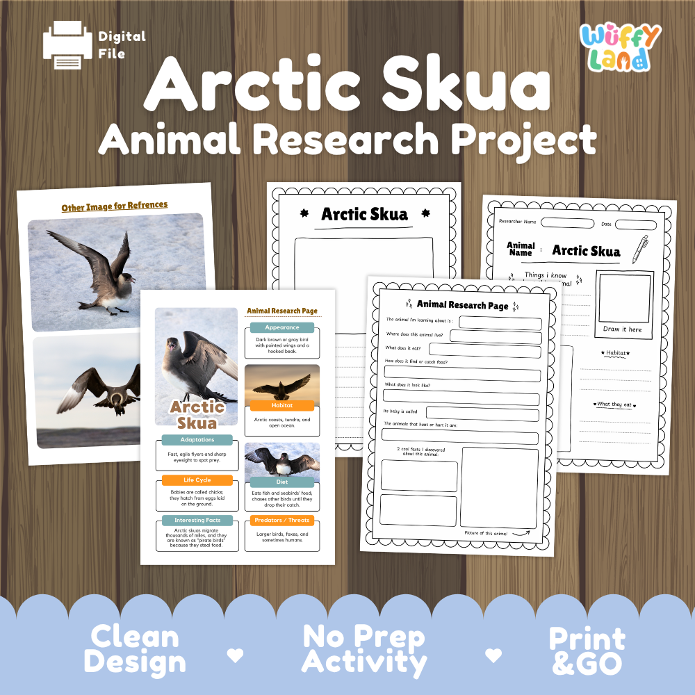 Digital educational activity sheet set titled 'Arctic Skua Animal Research Project' by Wiffy Land, shown on a wood background with sample worksheet pages, a reference card, and a title card.