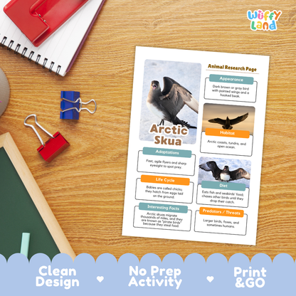 A printed educational activity sheet titled 'Arctic Skua' laid on a wooden desk, surrounded by school supplies including a spiral notebook, red binder clips, a chalkboard, and a red notebook. The sheet includes a bird photo, text boxes, and sections for appearance, habitat, adaptations, life cycle, diet, and interesting facts.
