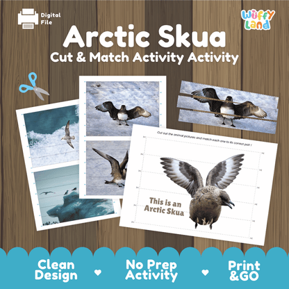 Arctic Skua Cut and Match Puzzle Activity Worksheets