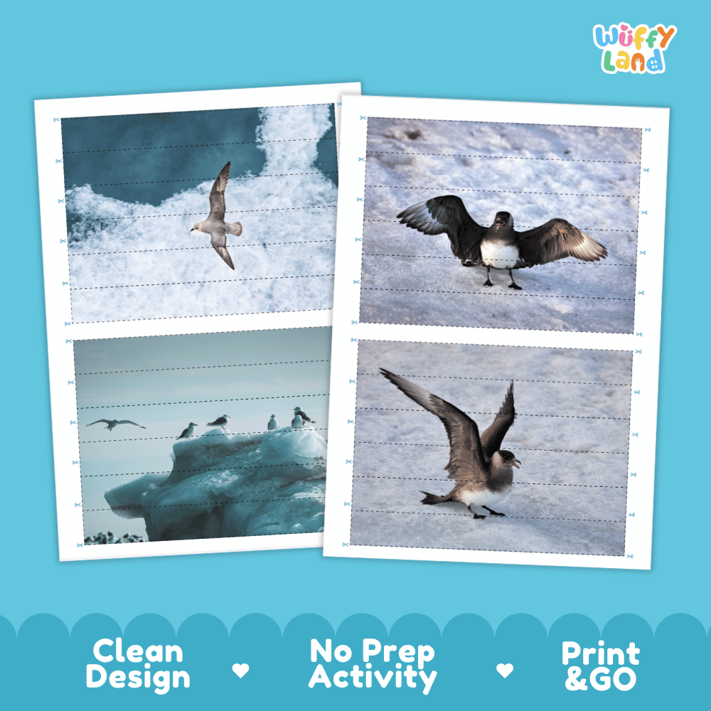 Arctic Skua Cut and Match Puzzle Activity Worksheets