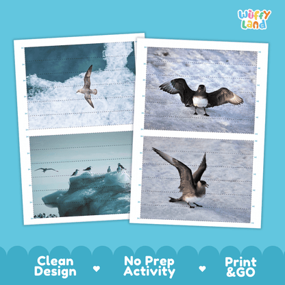Arctic Skua Cut and Match Puzzle Activity Worksheets