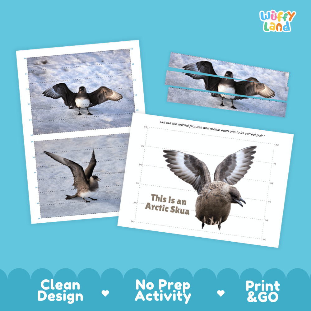 Arctic Skua Cut and Match Puzzle Activity Worksheets