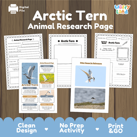 Clean design no prep print and go Arctic tern animal life cycle study printable PDF pack for elementary science