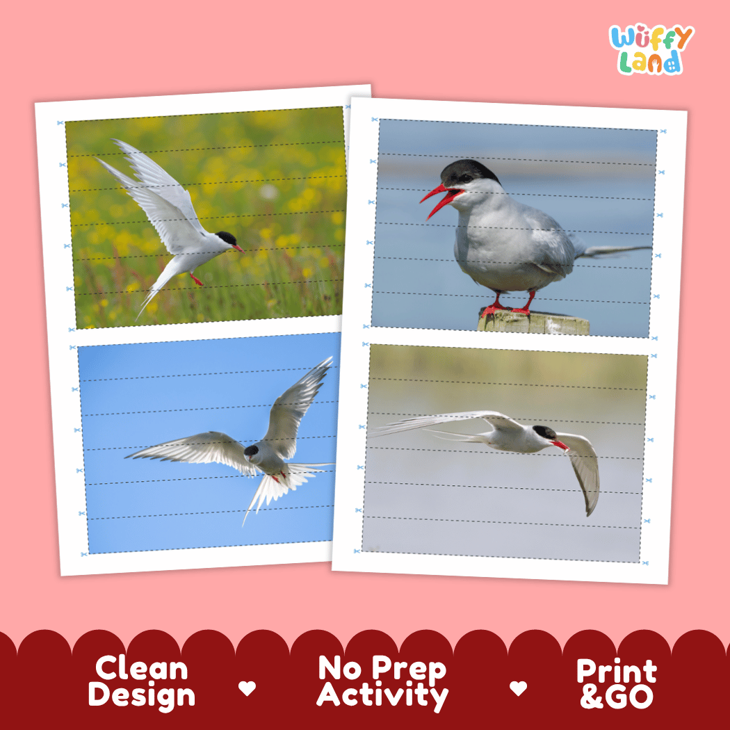 Arctic Tern Cut and Match Activity Worksheets