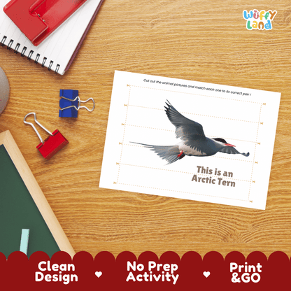 Arctic Tern Cut and Match Activity Worksheets