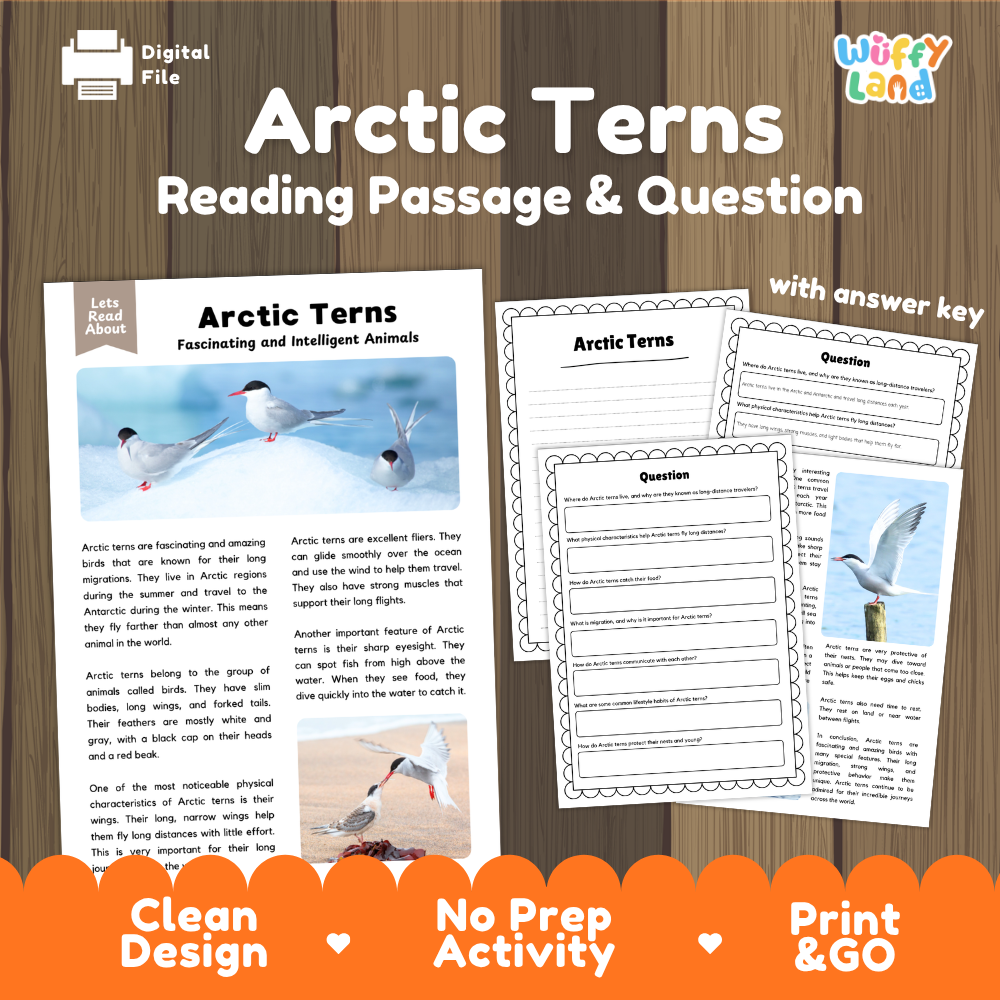 Arctic Terns Reading Passage and Questions Worksheets with Answer Key