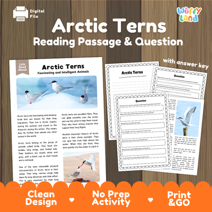Arctic Terns Reading Passage and Questions Worksheets with Answer Key