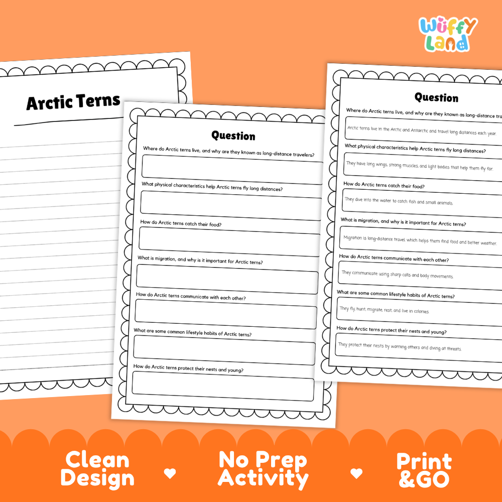 Arctic Terns Reading Passage and Questions Worksheets with Answer Key