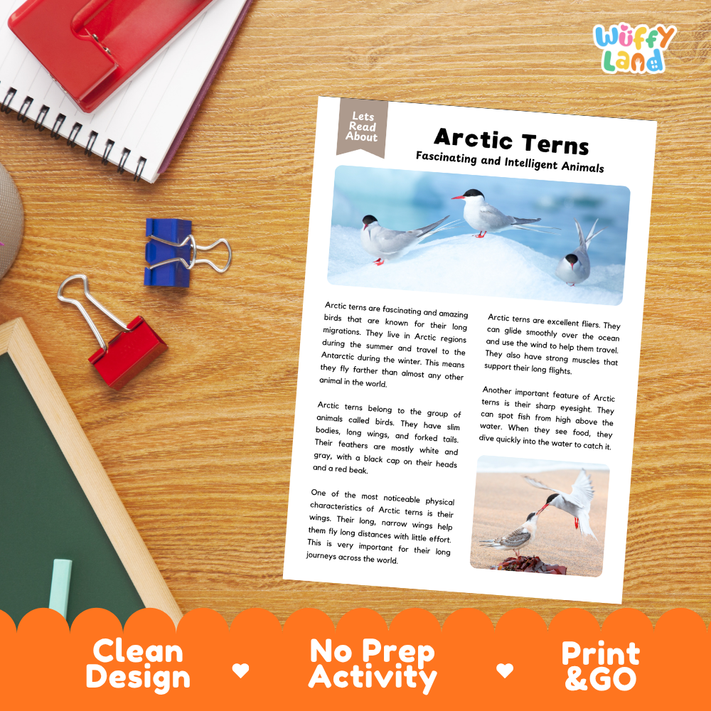 Arctic Terns Reading Passage and Questions Worksheets with Answer Key