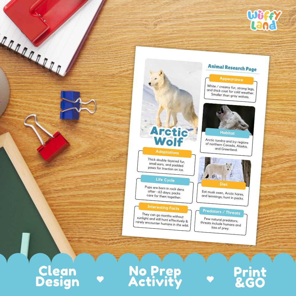 Arctic Wolf Animal Research Page Worksheets