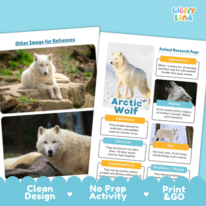 Arctic Wolf Animal Research Page Worksheets