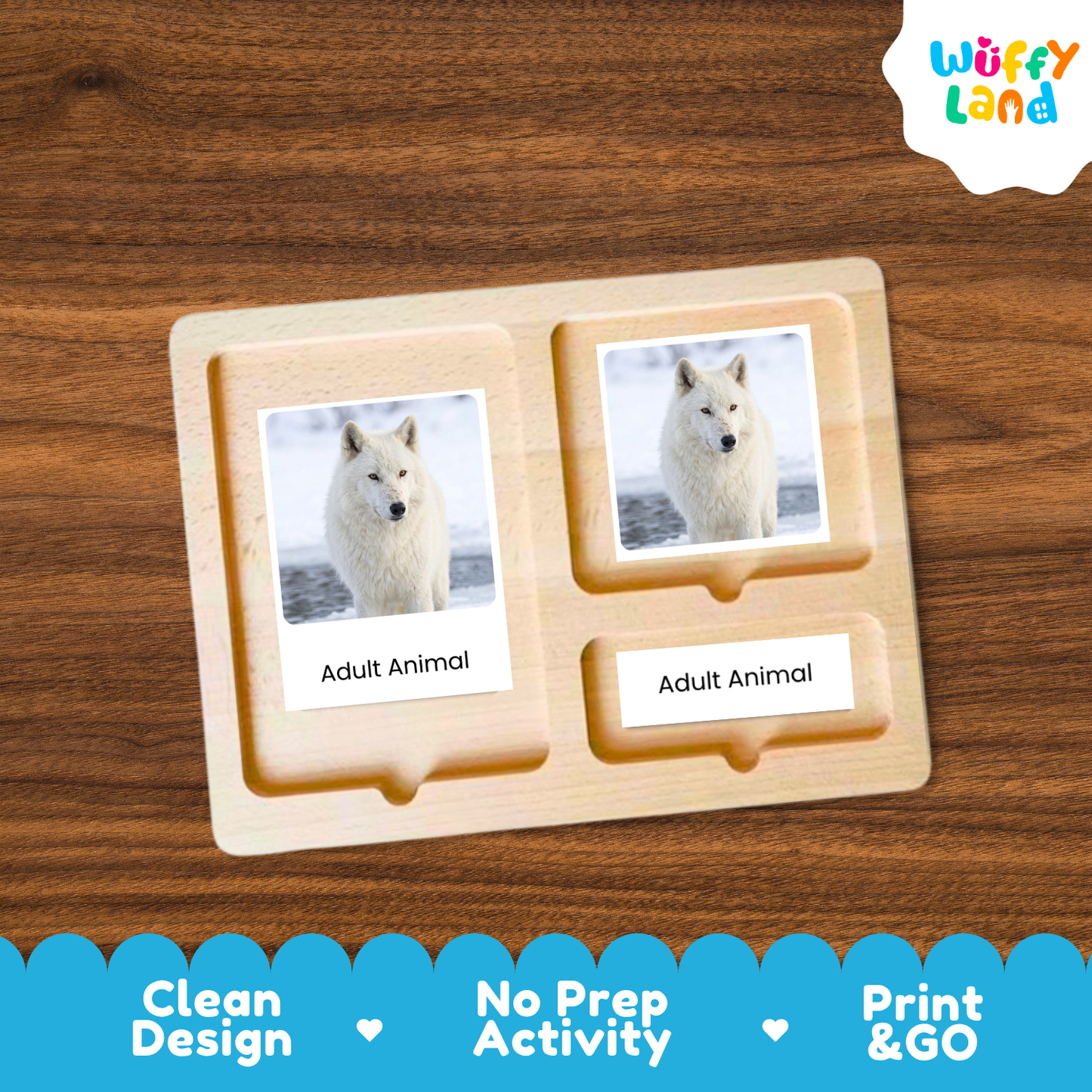 A wooden two-compartment activity tray from Duffy Land, featuring printed cards of a white wolf labeled 'Adult Animal' on a dark wood background.