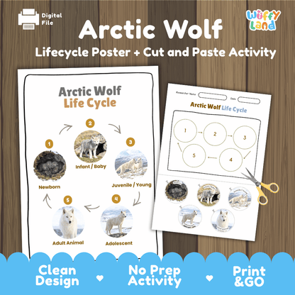 Arctic Wolf Life Cycle Poster and Cut and Paste Worksheet Activity