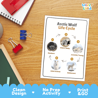 Arctic Wolf Life Cycle Poster and Cut and Paste Worksheet Activity