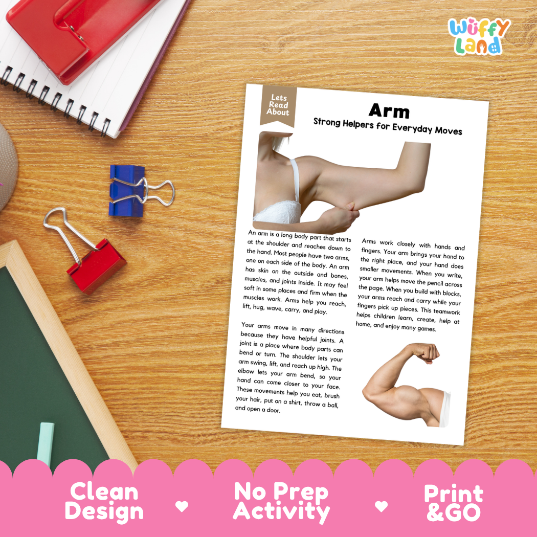 Student reading comprehension worksheet with short-answer questions and lined sections about the human arm