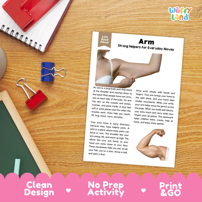 Student reading comprehension worksheet with short-answer questions and lined sections about the human arm