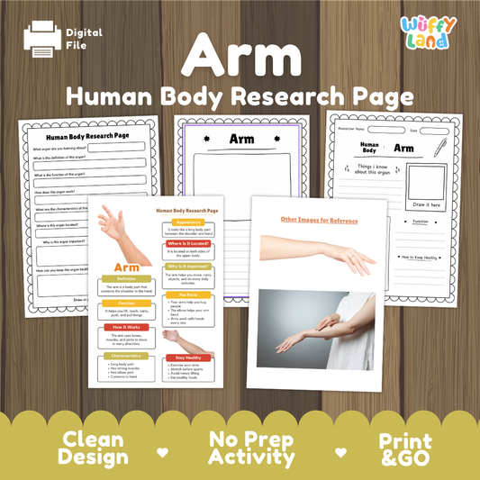 Arm Human Body Research Page and Worksheets