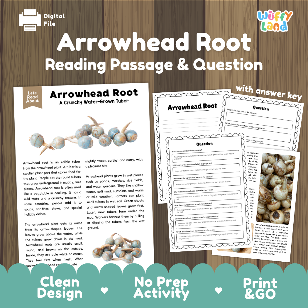 Arrowhead root reading comprehension passage and questions printable activity pack with answer key for elementary students