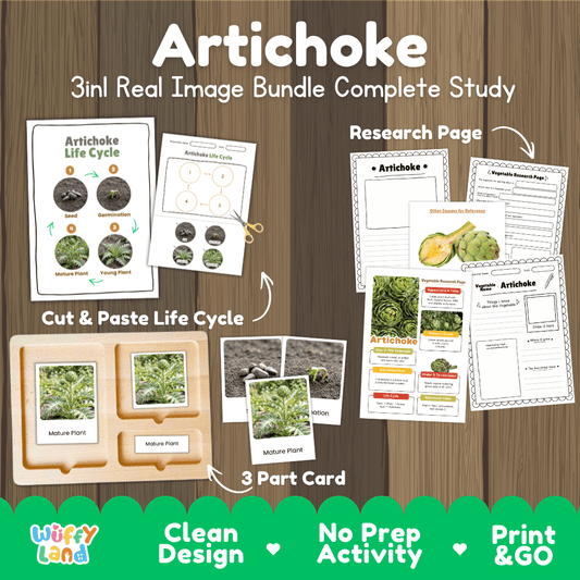 Artichoke 3in1 real image bundle complete study printable featuring life cycle cut and paste worksheets, Montessori 3-part cards, and research pages