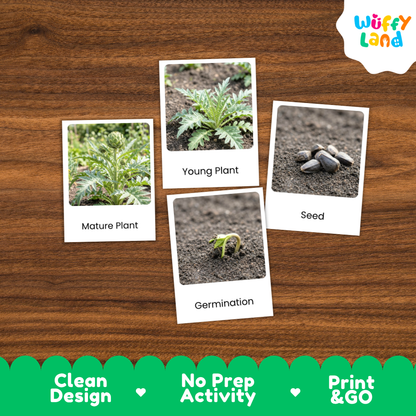 A set of four educational plant germination cards with white borders and black text labels ('Mature Plant', 'Young Plant', 'Seed', 'Germination') arranged on a brown wood-grain background. The 'Wuffy Land' brand logo is in the top right corner, and a green banner at the bottom highlights 'Clean Design', 'No Prep Activity', and 'Print & GO'.