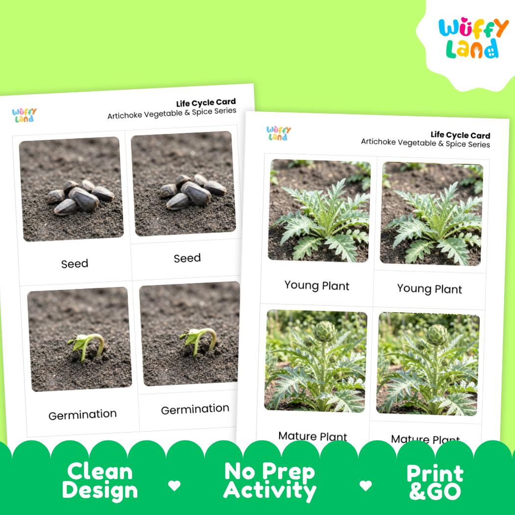 Two printed artichoke vegetable and spice series life cycle cards shown on a bright green background. The cards show labeled photos of seeds, germination, young plant, and mature plant stages.