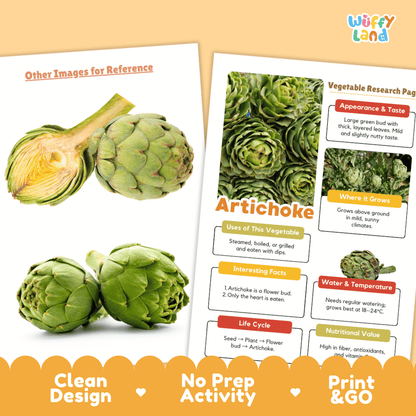 Artichoke Vegetable Research Page Worksheets