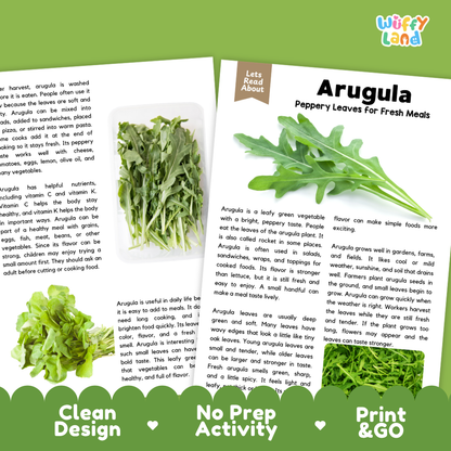 Teacher answer key page showing complete question solutions for arugula reading comprehension practice