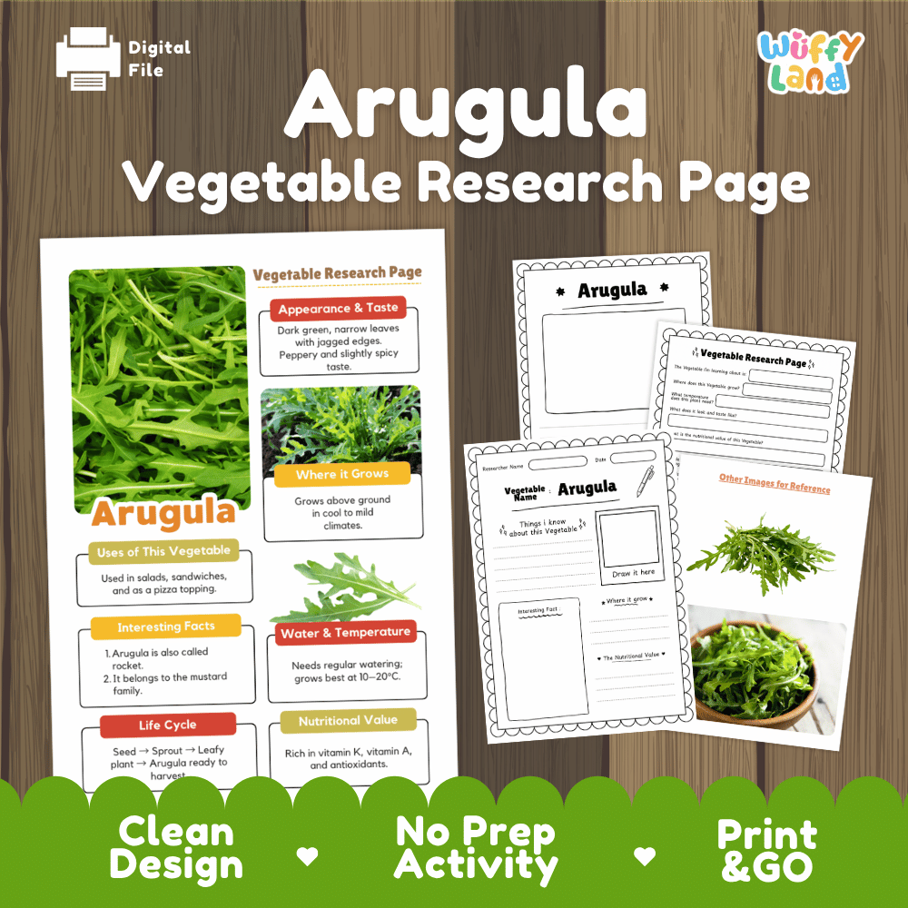 Arugula Vegetable Research Page Worksheets