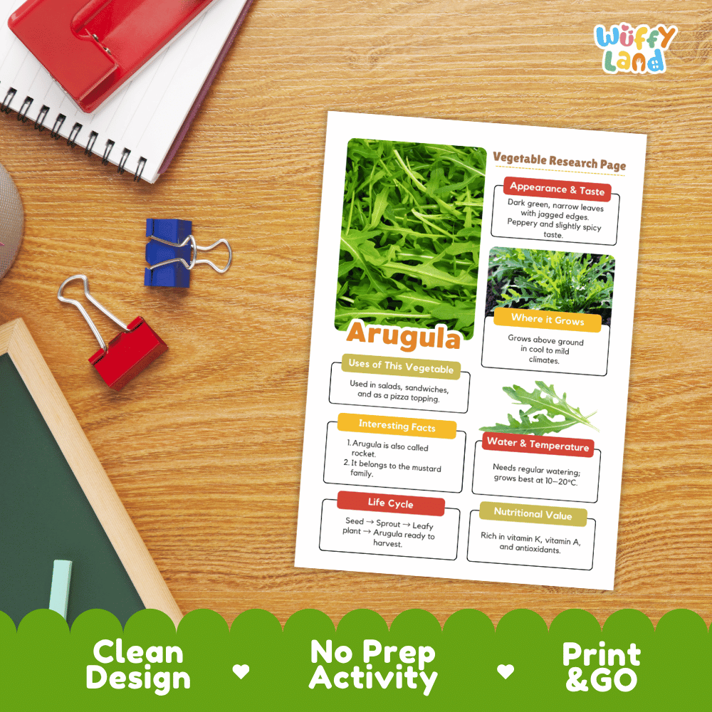 Arugula Vegetable Research Page Worksheets