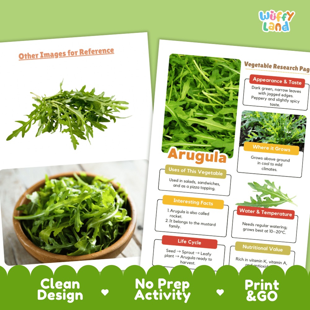 Arugula Vegetable Research Page Worksheets