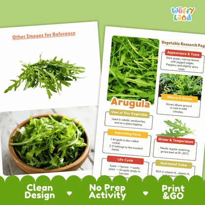 Arugula Vegetable Research Page Worksheets