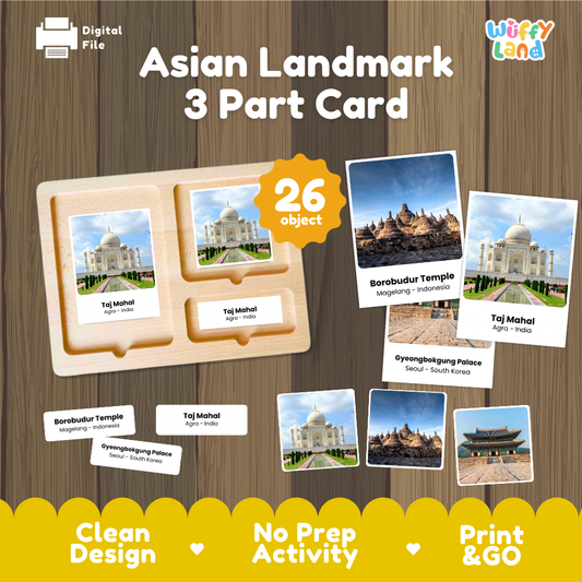 Asian landmarks 3 part cards featuring famous places including Taj Mahal, Borobudur Temple and Gyeongbokgung Palace for Montessori geography learning