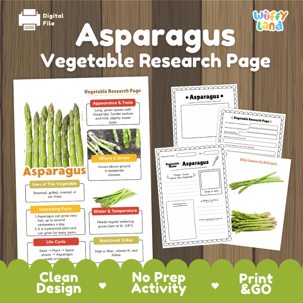 Asparagus Vegetable Research Page Worksheets
