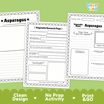 Asparagus Vegetable Research Page Worksheets