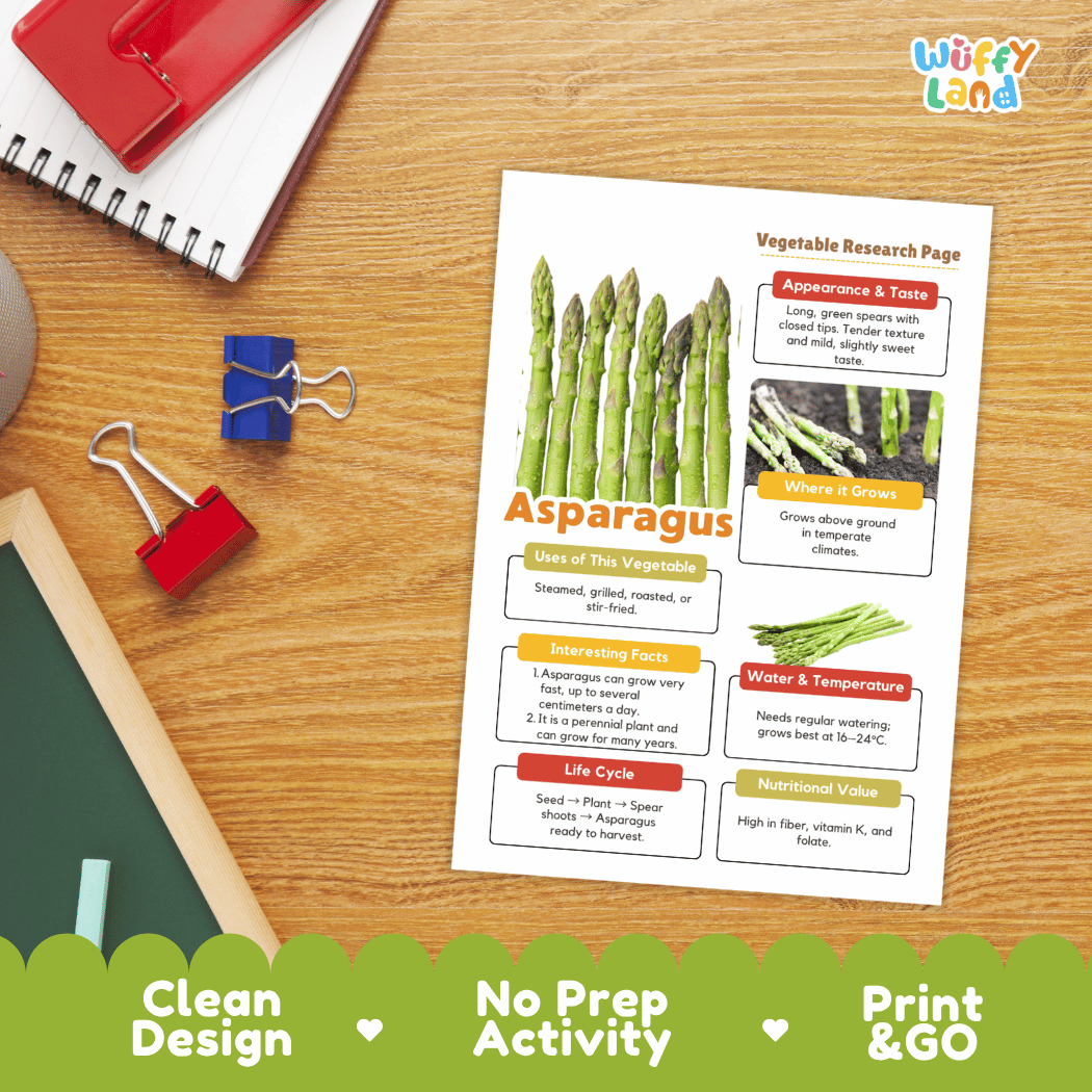Asparagus Vegetable Research Page Worksheets