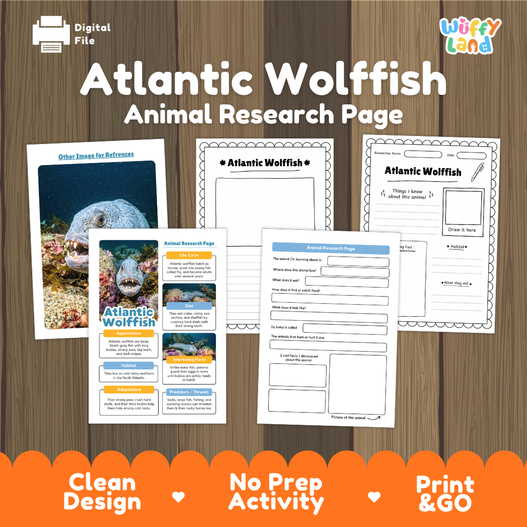 Digital preview of an educational 'Atlantic Wolffish Animal Research Page' printable activity sheet set, displayed on a wood-grain background with an orange banner at the bottom. The pages feature clean black-and-white layouts with blue headers and colorful animal photos.